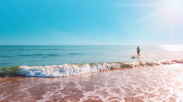 Top marques de surfwear écolo pour un style durable